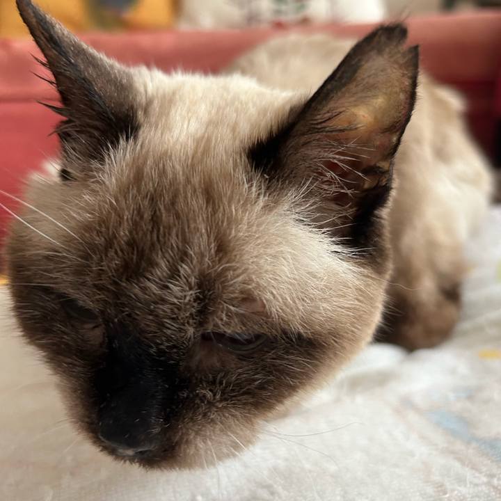 D309cd6d 7fc0 4405 b4c7 e2bdbe631aa2 1717207573200