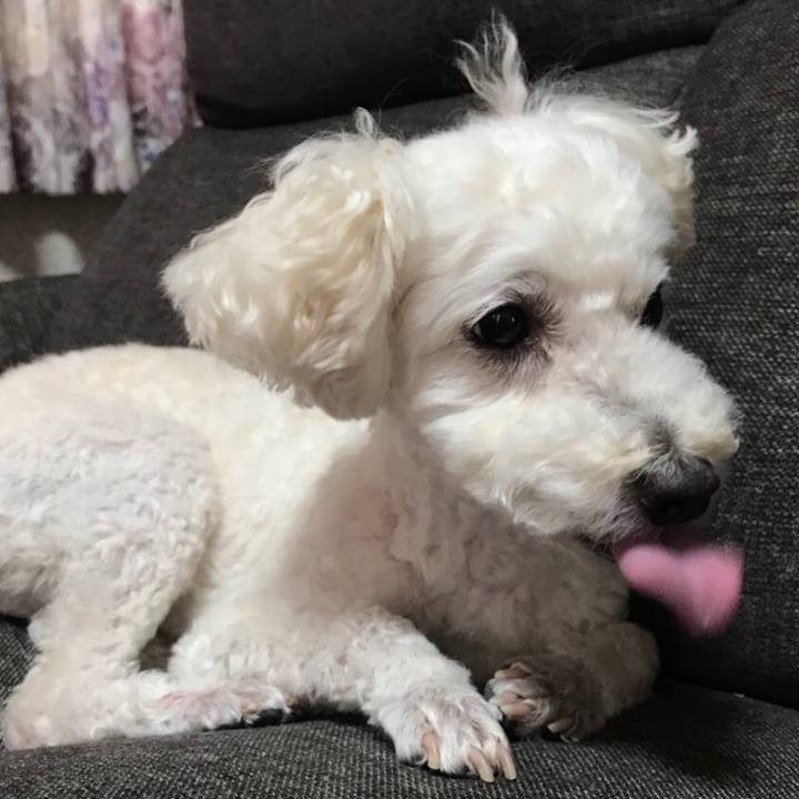 D309fcd9 5b7a 4f92 8fa7 8ecb01e8c5fd 1532435780106