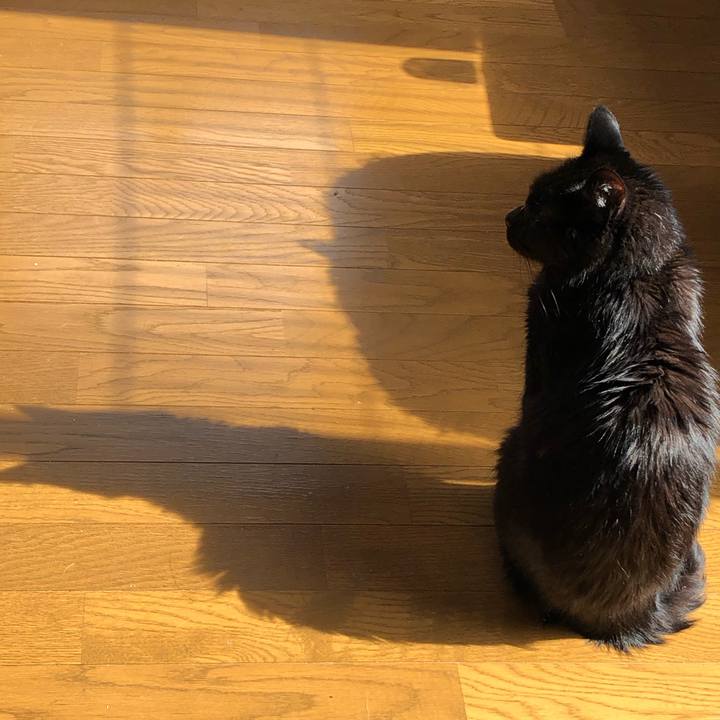 D30a0cc9 522f 4b6f 92e4 cd08b531b4b4 1588978719116