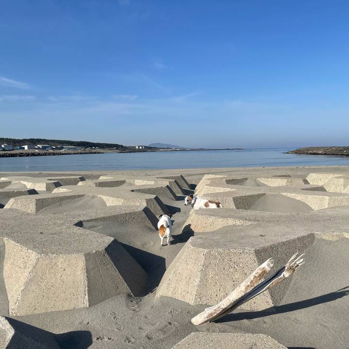 D30a11de a838 4f00 9ff9 904034bee2ed 1745279548790