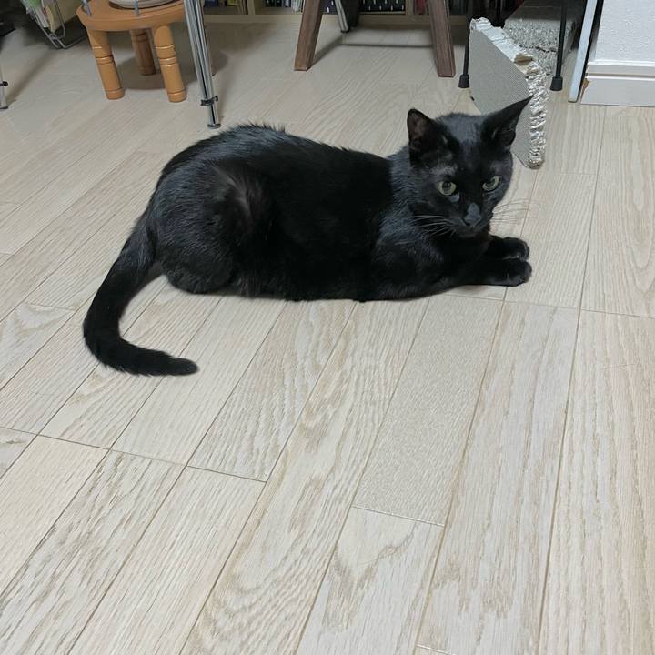 D30a1b23 1cb8 4a87 a797 854915e1e0bb 1655215231588