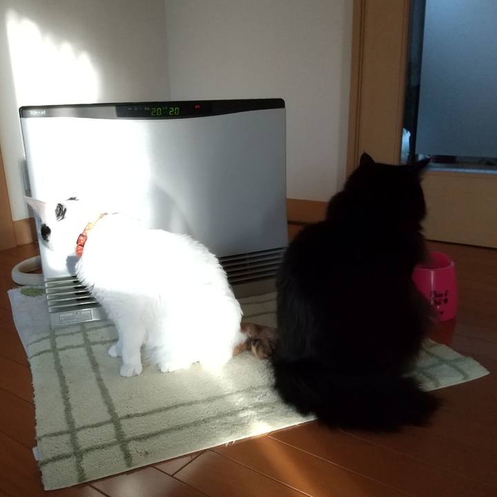 D30a2c15 8f09 4a3f 8bfd 31d6485d4be8 1637794382854