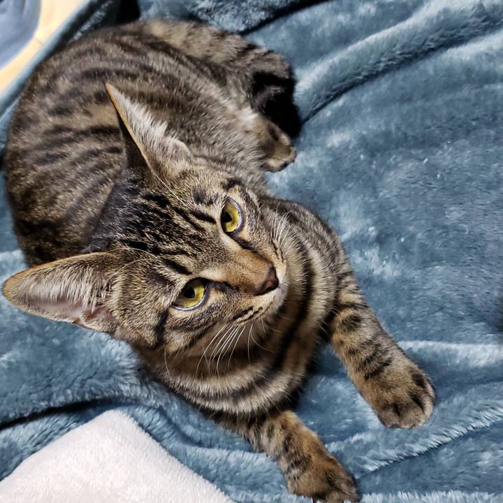 D30a6d26 209b 4d2f aa82 75a619ec0135 1545109746045