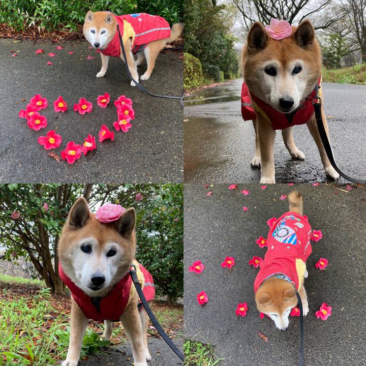 D30a77f4 9d12 4dda b624 bfb0b0663b58 1774487779764