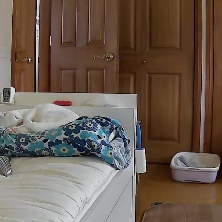 D30a8257 ed42 45b2 ad57 29d4ca35584a 1664256580472