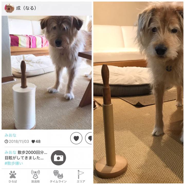 D30a8559 18ce 472e 808b 450accd65f68 1612872686776