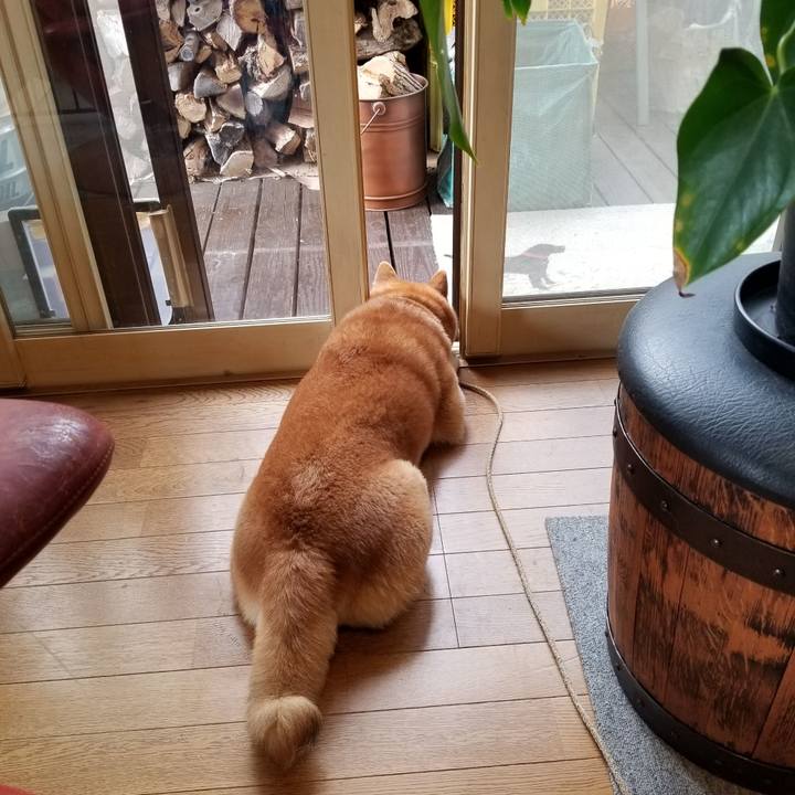 D30ad16a 8747 4e7c 85df 2ddac8bd4561 1602374650383