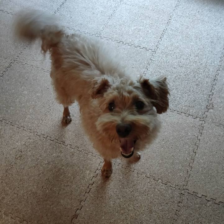 D30aedb6 f642 4dc8 ace3 a3f074eec8f9 1596535903459