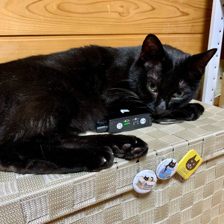 D30afd65 cea2 41d1 99ad 7a0b5f3abc92 1626788421590