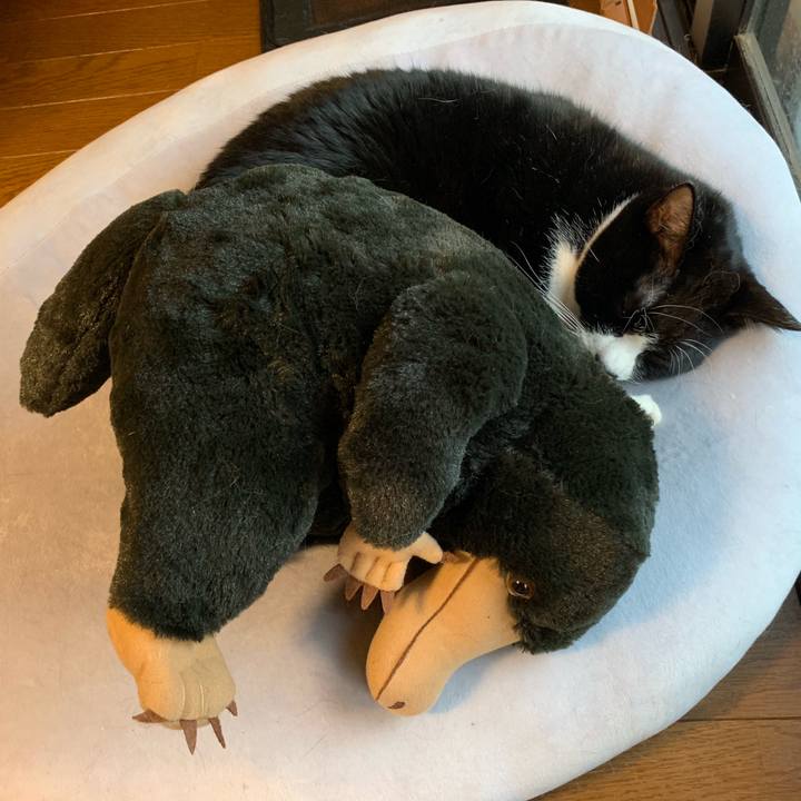 D30b389f 438d 4f90 9e69 e9df6bc6a988 1545038163505