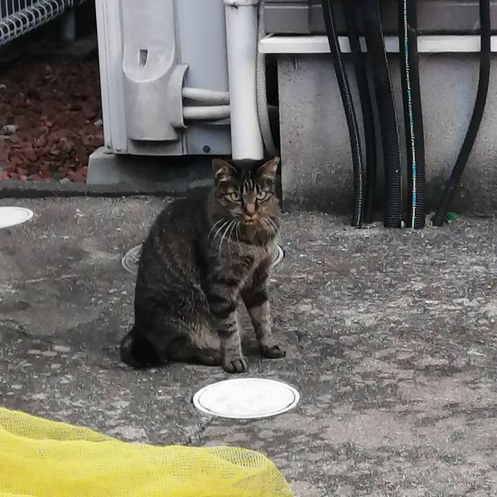 D30b50ee 875d 4396 a4db af6e9a563e00 1627419331767