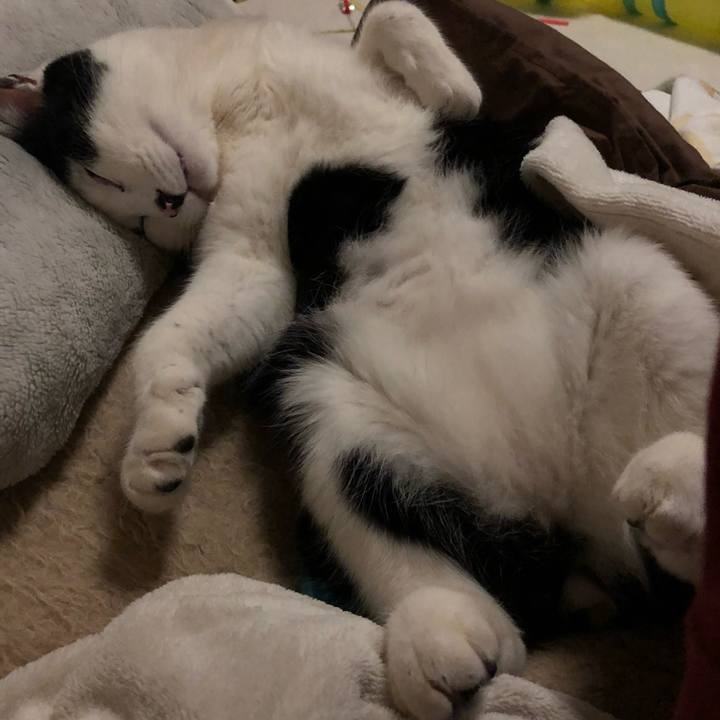 D30b64d9 a581 479a 9435 a0ccb080431f 1549652933176