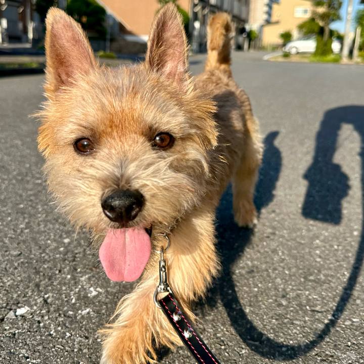 D30ba917 41f3 4972 9c4f 74ec7a8f9de8 1715439896806