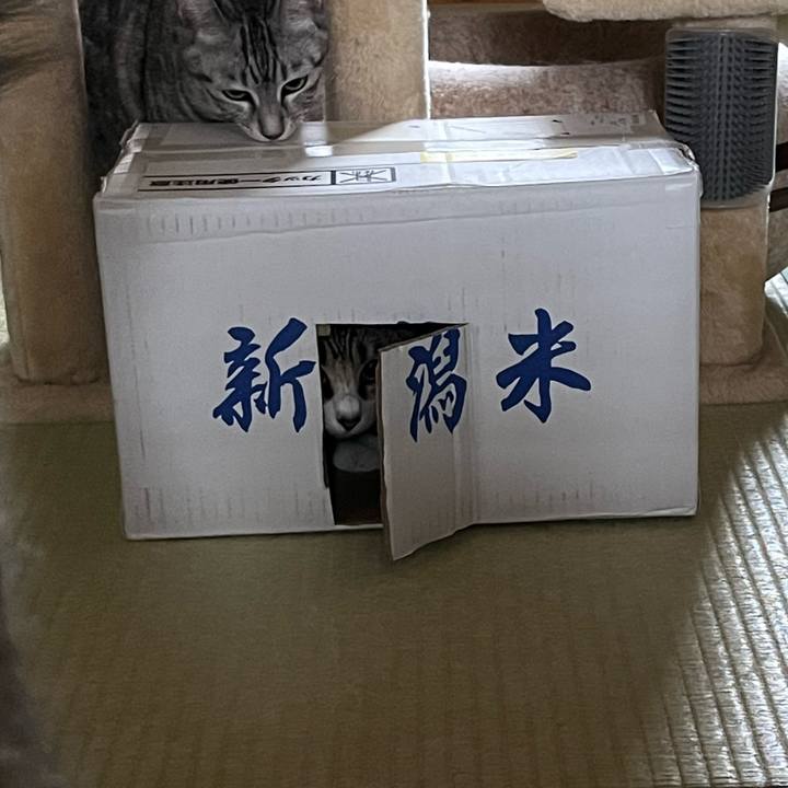 D30beddc bdff 4bee 9b2f 8562af37c4a7 1767395870373