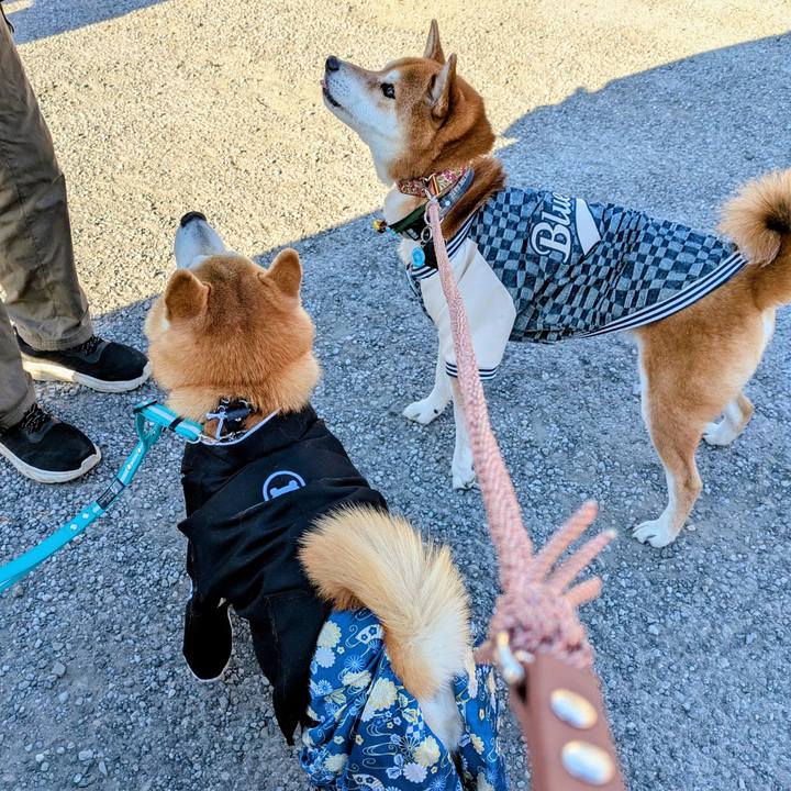 D30c0933 a203 4f77 9380 472ef6ed2dac 1768037635732