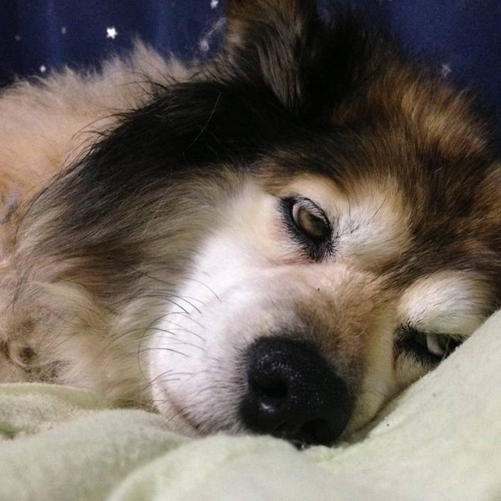 D30c2eeb 77be 408e 9e9f b31e29b2fd39 1576414362086