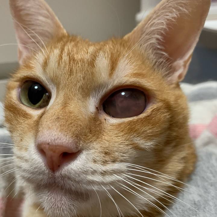 D30c611d c307 4da5 9ace 3cdb5f5d3681 1605950635737