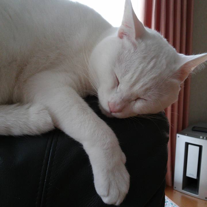 D30c6857 4c66 4045 8419 2e55e9f35cf6 1514250433095