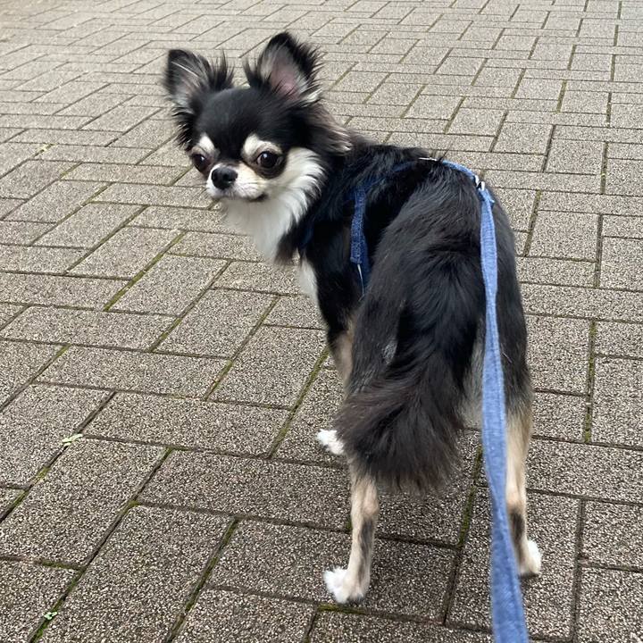 D30ca24b b2a4 4d76 9480 0943c823061d 1632629461265