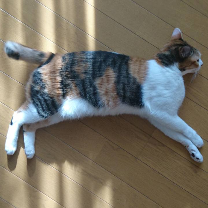 D30cb2df 6e8f 4c68 9755 8b59ff5c7bcd 1557126566423