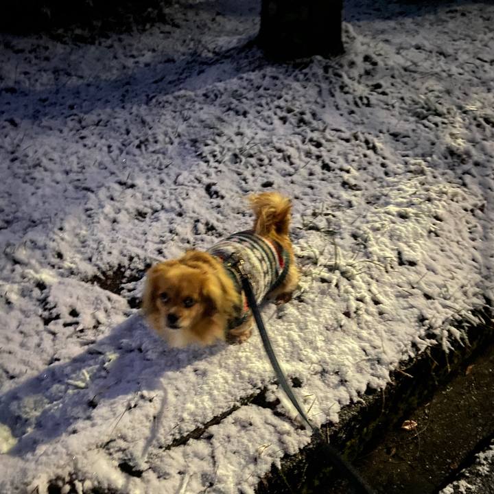 D30cbab3 b005 4849 a94c cde35c8a6eae 1642109813252