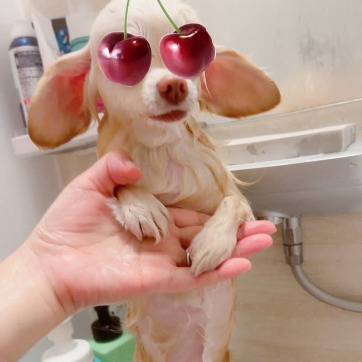 D30d21f5 0ec3 4384 b7dc de9a22596317 1706357239555