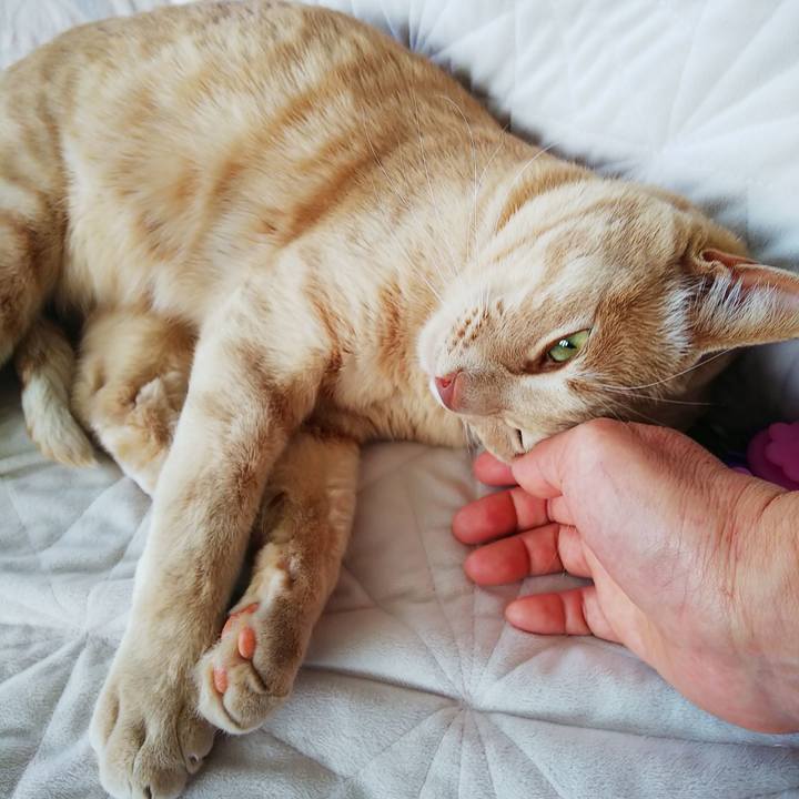 D30d2e58 7036 4c6d 961f cc956e5fde4f 1591051430690