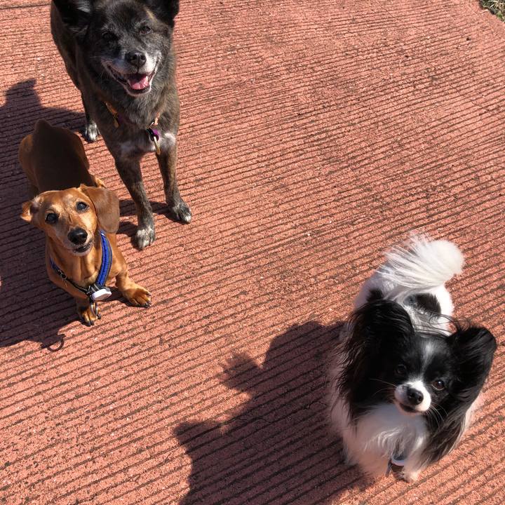 D30d4ee4 3dfe 4b80 8e79 2602d3a6723e 1615903236915