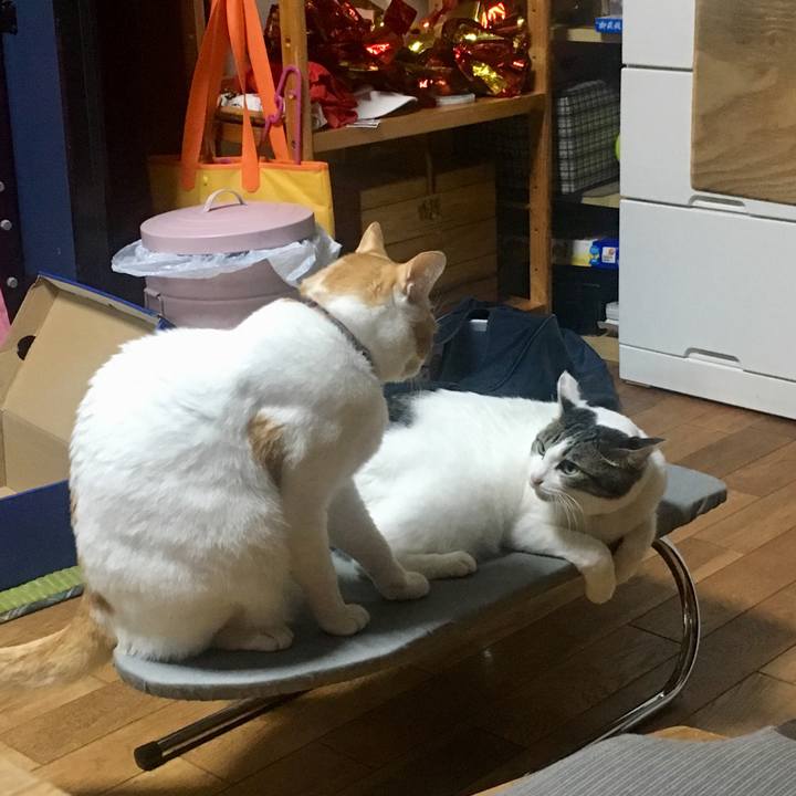 D30d5d42 732c 45a9 ac7e 524ed4865778 1540732451452