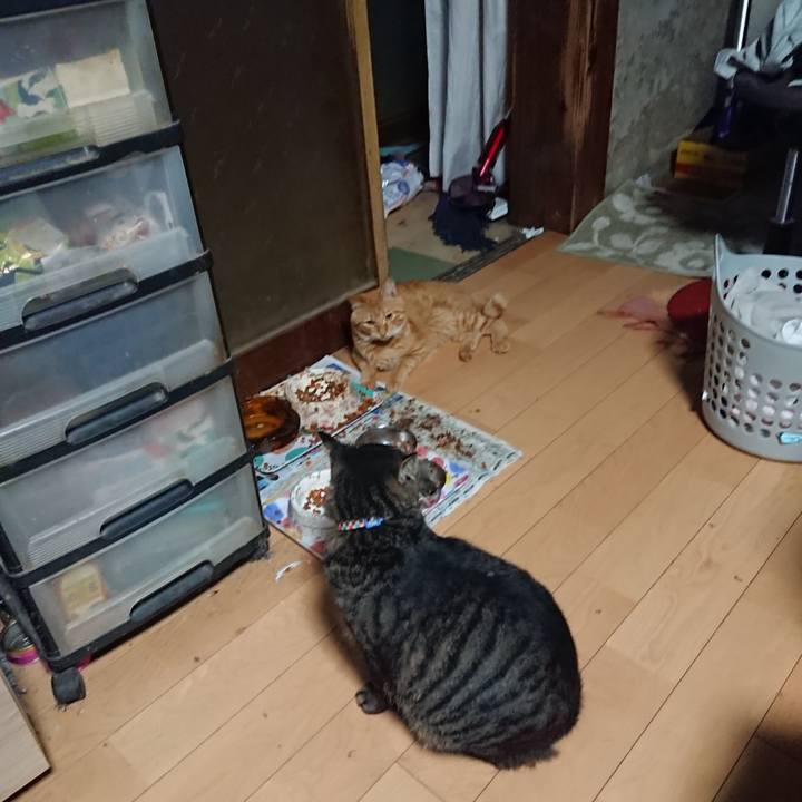 D30d6893 85fe 47ce a051 feff830f6e92 1661376007696