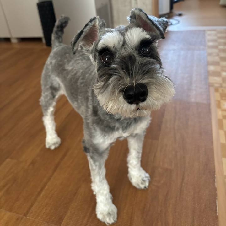 D30dc1b4 99c1 4828 b767 e82e2a97e4d4 1761997200886