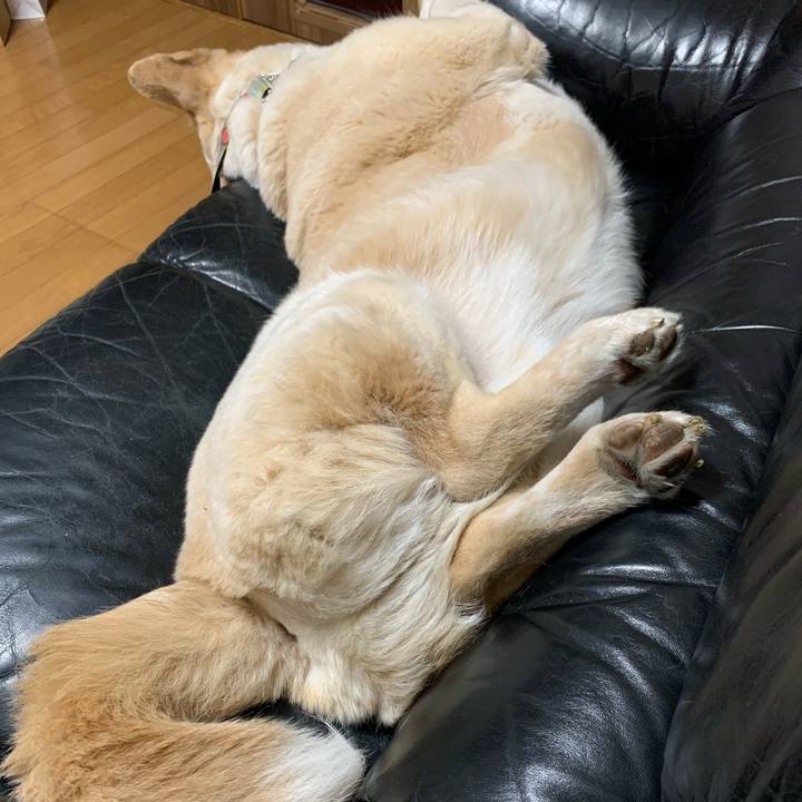 D30e1a3d b939 462a 8f76 97ddddecfe1d 1618969789329