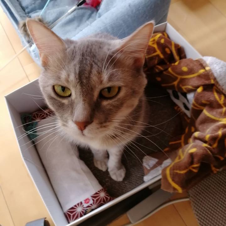 D30e3c37 9b91 45cb aa2f 14958225fa6e 1527581479504