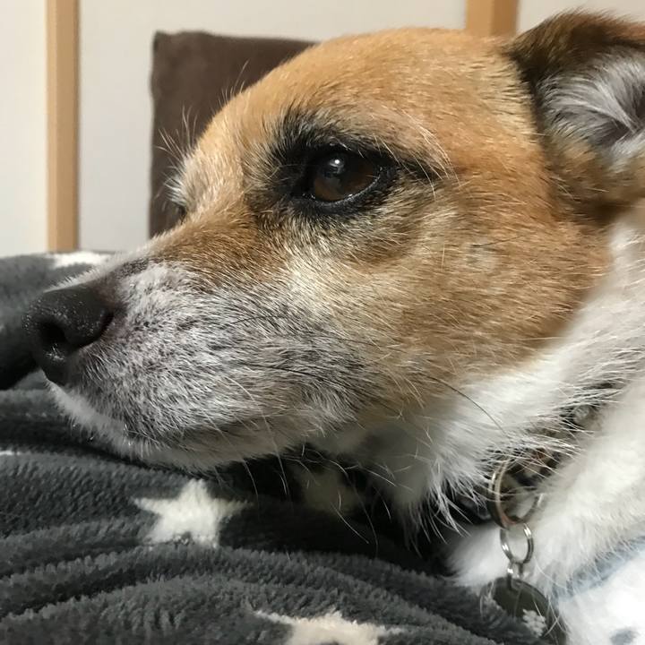 D30e4d62 f4ae 4edd 8d8f d7869d88f112 1517874285808