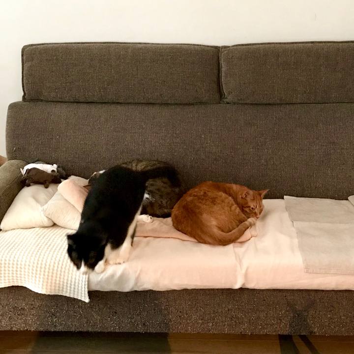 D30eafe4 c848 4372 8e6c cdff9837d071 1529742565882