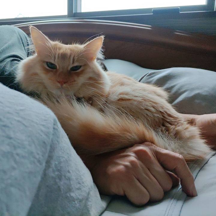 D30eb055 934b 4524 ad17 571bddfc17f1 1668471848336