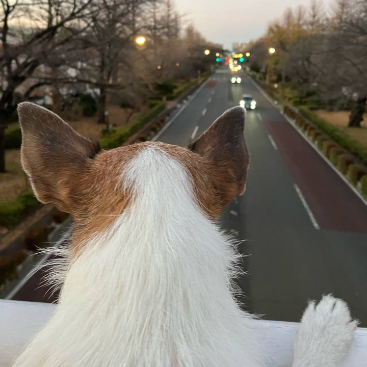 D30ec878 fae5 49f0 9889 31cc8ea465e5 1672966206679