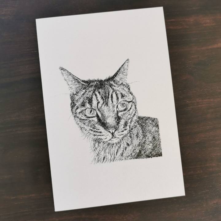 D30ed2ca ae6a 402f ab75 cf863a5fdee1 1659972414833