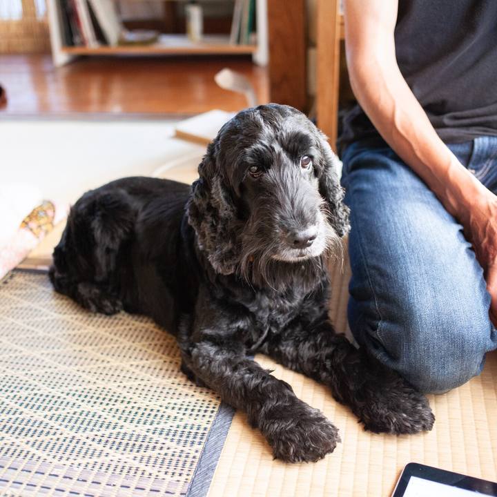 D30ed52f e7bb 4207 851e 6b91702539b3 1566611923802