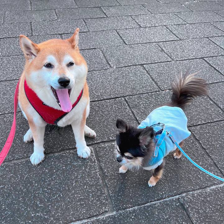 D30edf7c 3e69 4e48 a167 f77f9fa8ffea 1687256854510