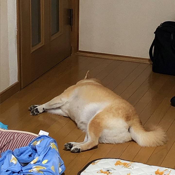 D30ef963 8454 4488 b6b3 5896831151eb 1568381860253