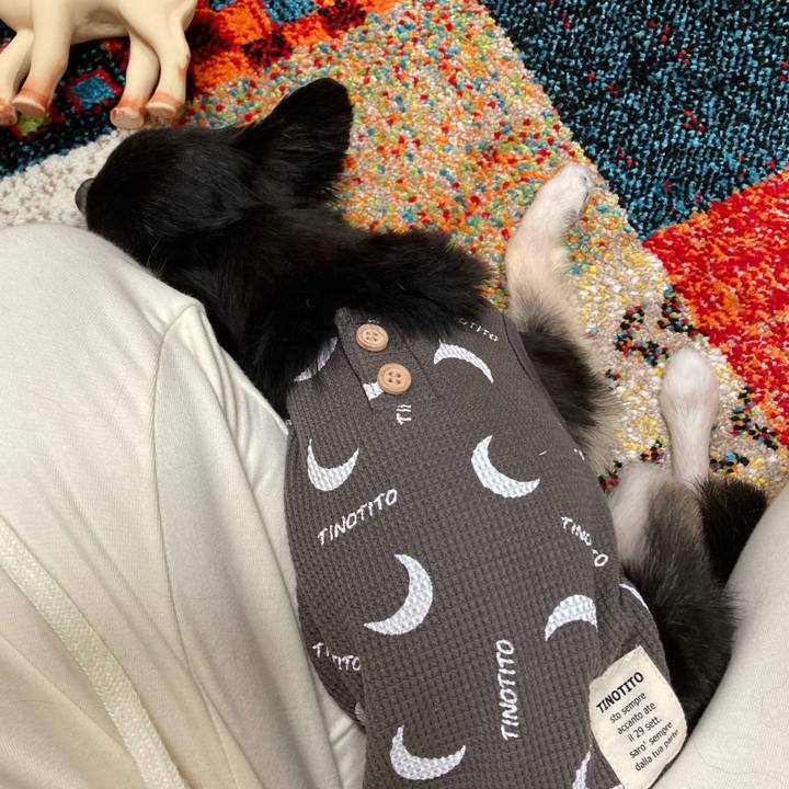 D30f0421 7bf6 416e aa20 eb51c41a3452 1682868006552