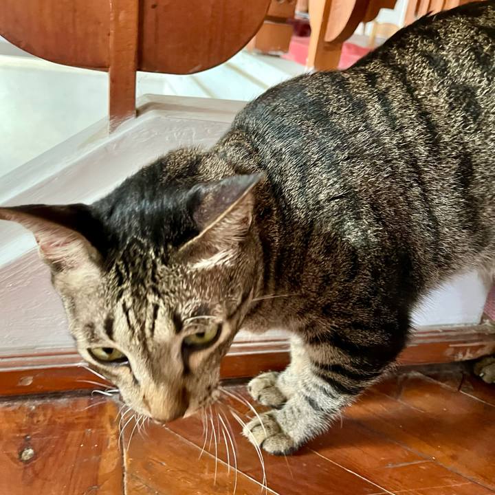 D30f465d 0d72 4f98 958d fcab72700464 1768645003713