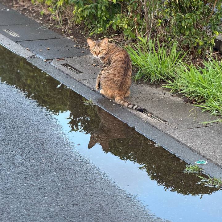 D30f5f48 6a71 463e b96c bc55169e24e5 1758416307988