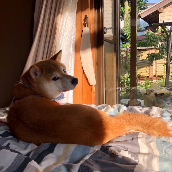 D30f886d 1c1f 4540 a3cc 7b9d4d8c0229 1529404065458