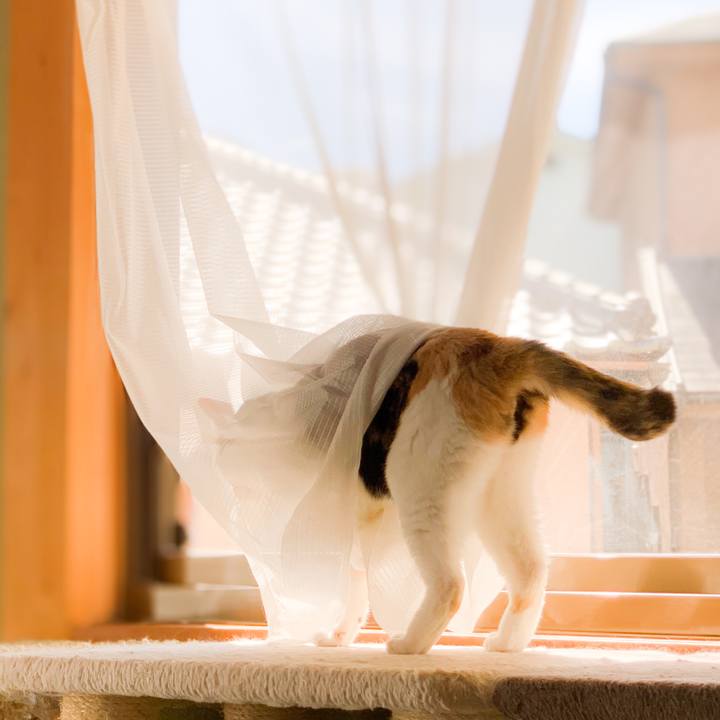 D30f8adc d0b7 4b15 ba55 e2cd3b008d3b 1600652772205