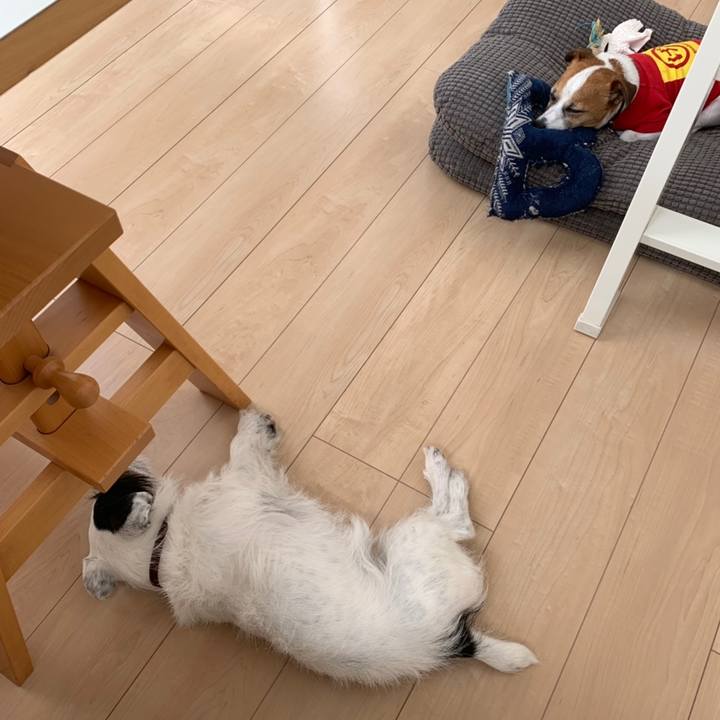 D3103325 85cd 438e 8640 4c3afdecd278 1558316404572