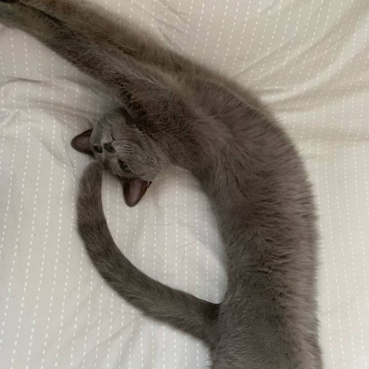 D31075fa 2fc3 4c03 94c4 a21e0f273784 1624769840641