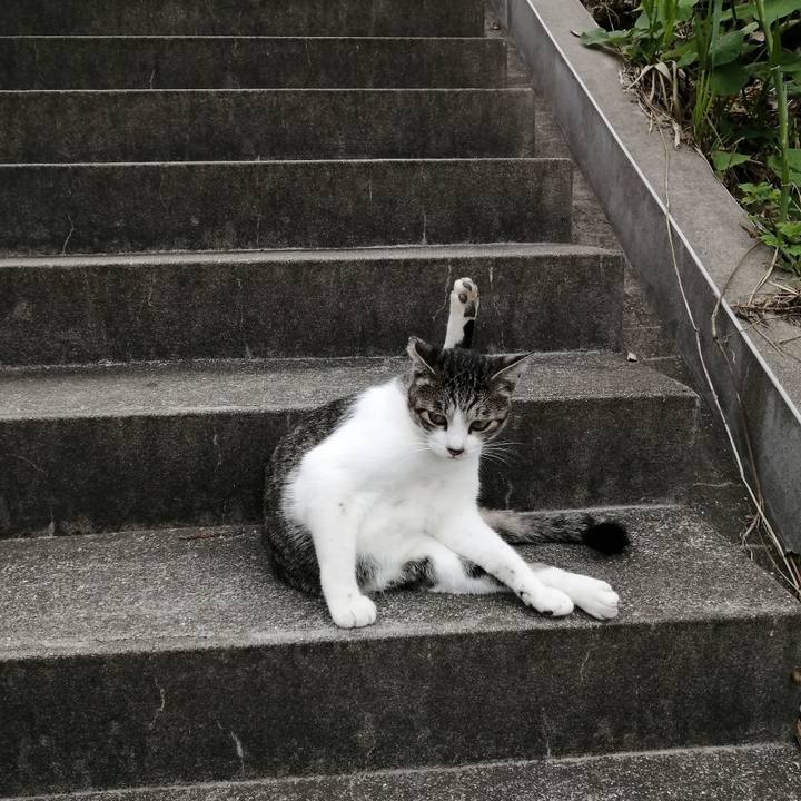 D3108f83 a4b9 4963 9706 f0b09c628dd5 1569281769203