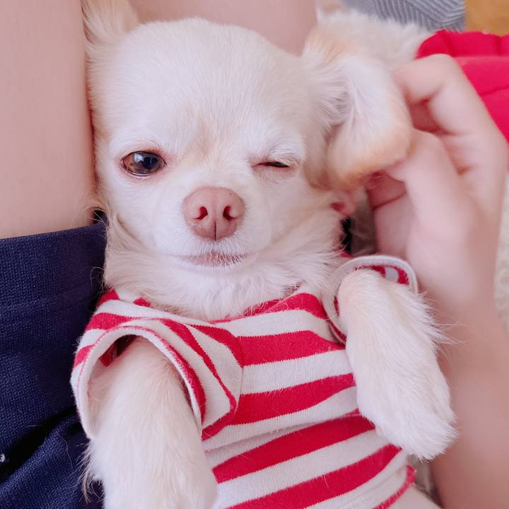 D310a665 fa65 4737 ad24 bf0be745227e 1683795121023